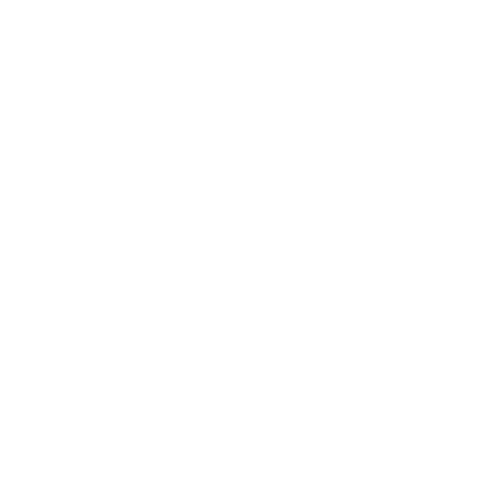 Joshua Bassett - white logo