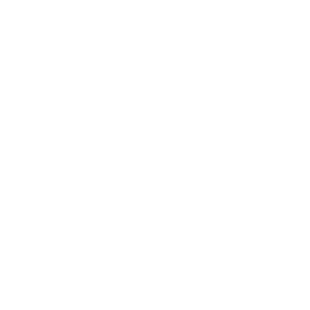 White shopify logo with a white bag.