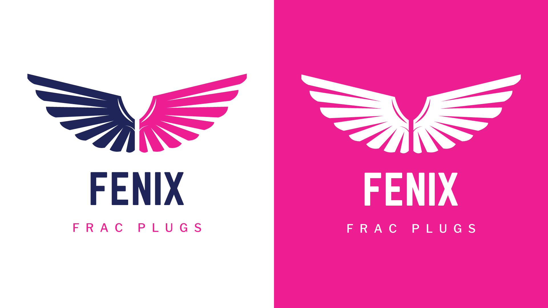 Brand Guidelines - FENIX